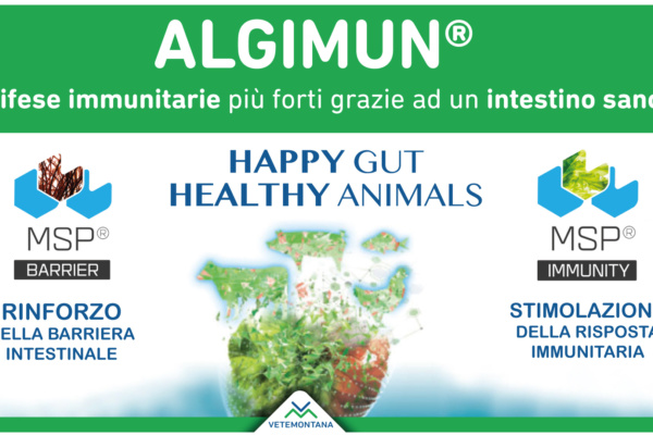 Algimun – Happy gut, healthy animals