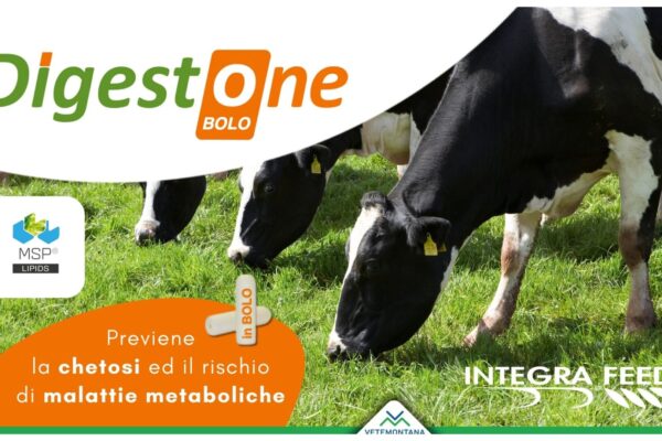 DigestOne: il bolo per prevenire la chetosi nelle bovine da latte