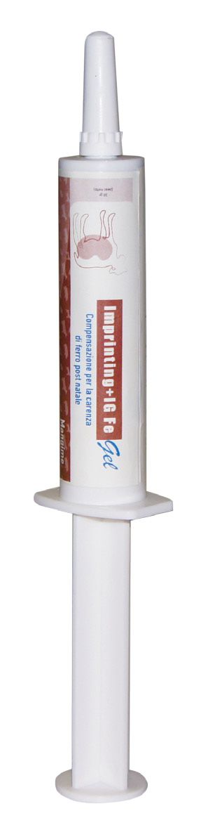 Imprinting IG Fe Gel