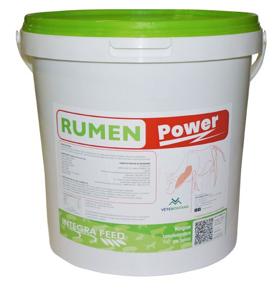 Rumen Power
